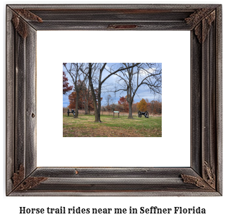 horse trail rides near me in Seffner, Florida